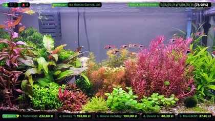 AkwaLive porządki [LIVE #126]