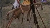 Dawni wojownicy.  Siuksowie wojownicy z r&oacute;wnin.  Dokument