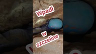  Wpadł w szczelinę w jaskini  #ciekawostki #jaskinia #cave #ciekawe #ciasno #klaustrofobia