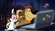Królikula - S01E15 [PL][HD]