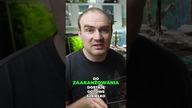 Akwarium dla bojownika #akwarium #akwarystyka