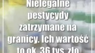 Nielegalne pestycydy zatrzymane na granicy.  Ich wartość to ok.  36 tys.  złotych