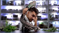 TROPIKALNY PRYSZNIC NA WYBIEGU CARLOSA 