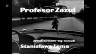 Profesor. Zazul. 1965 pl