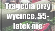 Tragedia przy wycince.  55-latek nie przeżył