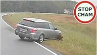 Dachowanie Subaru - poślizg na łuku drogi #891 Wasze Filmy
