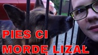 PIES CI MORDĘ LIZAŁ - Ludwik C. Siadlak VLOG 20171105