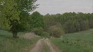 Wieś, którą pochłonął las! Co zostało do dziś?