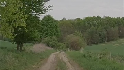 Wieś, którą pochłonął las! Co zostało do dziś?