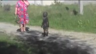Tymczasem w Rosji