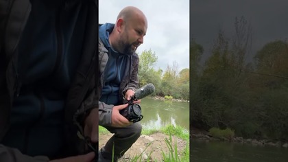 Sandacz na spinning podczas live na żywo