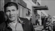 Ludzie z numerami 1957 lektor pl