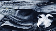 Akari Aryaca rework 528 Hz - Lonely feat morgxn - Animal Feelings