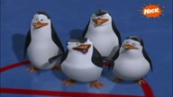 Pigwiny z Madagscaru parodia