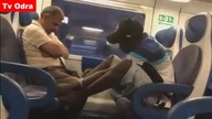 LiveLeak - Thief on the train vs sleeping man Happened in Italy