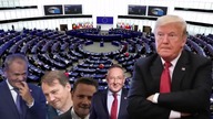 Sienkiewicz wypowiada wojnę Trumpowi i Muskowi! Już po niego idą...  (720p 30fps H264-128kbit AAC)