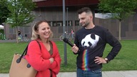PODCHWYTLIWE PYTANIA: ILE SZCZEBLI POWINNA MIEĆ DRABINA?