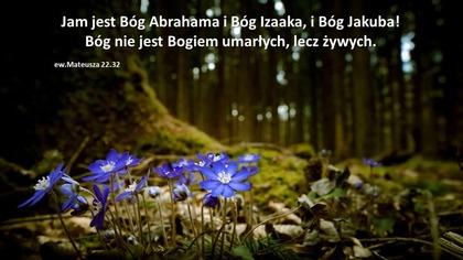 Audycja Wyzwolony John Wagner