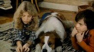 Mniejszy szuka dużego (1975) [608x448p] [delogo]