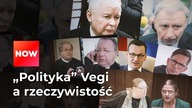 POLITYKA VEGI A RZECZYWISTOŚĆ