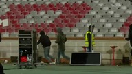 Test IQ dla rumuńskich kiboli