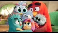 Angry Birds 3 Film | oficjalny zwiastun
