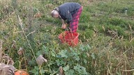 Normalna Żywność odc.  3 - Sałatka