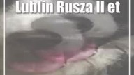 Lublin: Rusza II etap bezpłatnej sterylizacji czworonogów