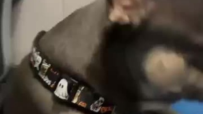 Wreszcie, miejsce leżące.