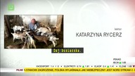 POLSATNEWS2 - 21-06-2022 - Ogłoszenia nadawcy, Reklamy, Ogłoszenie społeczne