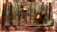 Wyspy Piratów S01E02 (napisy PL)