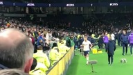 Piłkarz Tottenhamu wtargnął na trybuny, by walczyć z kibicem