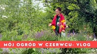 Najbrzydszy ogród we wsi Vlog z ogrodu- czerwiec