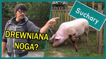 ŚWINIA z DREWNIANĄ NOGĄ - Suchary #299