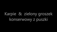 Test przynęty - groszek konserwowy - przynęta na karpie - nęcenie karpia