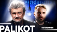 PALIKOT PO WYJŚCIU Z ARESZTU: JESTEM BEZDOMNY.  PRZEPRASZAM WSZYSTKICH