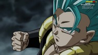 Dragon Ball Heroes 18