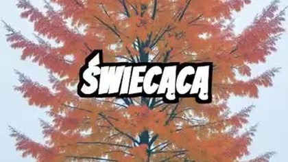 Wybudź w sobie moc, która przetrwa każdą burzę!  #NieCzekaj #TwojaSiła