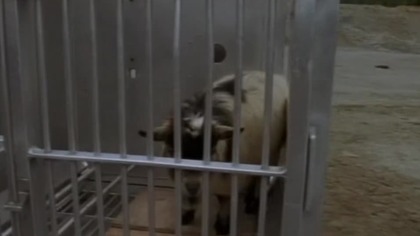 5 The Outer Limits.  16