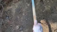 Przygoda przygoda każdej chwili szkoda 