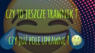 | AR | 2019 | OS. ZAWADA - NIESKOSZONA TRAWA | HD | ELBLAG |