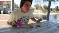 Cat Food Feast..