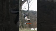 A miałem być akrobatą