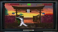 Super TaeKwonDo Master (1995/1996) [Amiga] [PL!] - Recenzja FoXa
