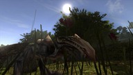 chronicles of myrtana experience