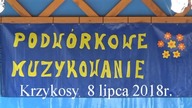 Wielkopolskie Spotkanie Kapel Podwórkowych 15 Edycja Podwórkowe Muzykowanie cz.  2