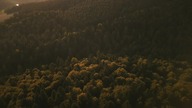 Anita.pl