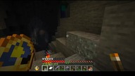 As you can see, generating larger biomes, because there are no medium ones #game #minecraft #gaming