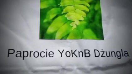 KOSZULKA YOKNB PAPROCI YoKnB