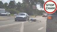 Biedronkowy złodziejaszek został kaskaderem #1576 Wasze Filmy